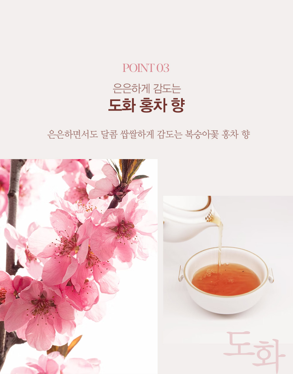 Point 03. 은은하게 감도는 도화 홍차 향